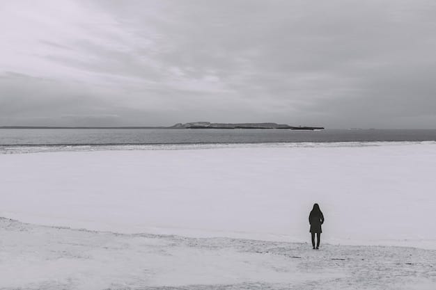 Decoding Nordic Noir: Why US Viewers Are Hooked on Scandinavian Crime Dramas