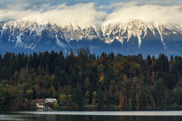 A panoramic view of the Swiss Alps, with snow-capped peaks and dense forests. In the foreground, a small mountain village is visible, with a police car parked near a chalet, suggesting a crime investigation in progress.
