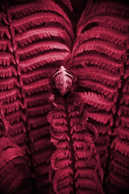 A detailed close-up of a costume from a high-rating period drama, richly textured and historically accurate, focusing on fabrics and intricate details to highlight authenticity.